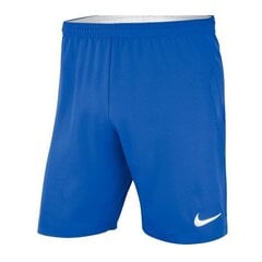 Спортивные шорты для мужчин Nike Laser Woven IV цена и информация | Мужские термобрюки, темно-синие, SMA61007 | pigu.lt