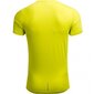 Sportiniai marškinėliai vyrams Outhorn M HOL19 TSMF600 72S lime (49479) kaina ir informacija | Sportinė apranga vyrams | pigu.lt