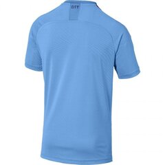 Мужская спортивная футболка Puma Manchester City FC Home M SS 755586 01 цена и информация | Мужская спортивная одежда | pigu.lt