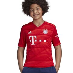 Marškinėliai berniukams Adidas FC Bayern H JSY Y Junior DX9253, raudoni kaina ir informacija | Marškinėliai berniukams | pigu.lt