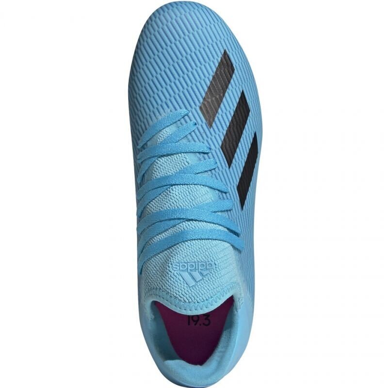 Futbolo bateliai berniukams, Adidas X 19.3 FG Jr F35366 mėlyna kaina ir informacija | Futbolo bateliai | pigu.lt