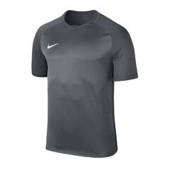 Спортивная футболка для мальчиков Nike Dry Trophy III JR 881484-065, 49770 цена и информация | Рубашки для мальчиков | pigu.lt