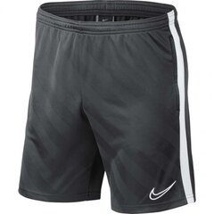 Спортивные шорты Nike M BRT Academy 19 Short JAQ KP M BQ5810 060, 50020 цена и информация | Мужские термобрюки, темно-синие, SMA61007 | pigu.lt