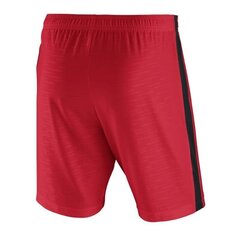 Sportiniai šortai vyrams Nike Dry Vnm Short II Woven M, raudoni цена и информация | Мужская спортивная одежда | pigu.lt