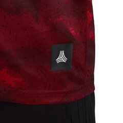 Sportiniai marškinėliai vyrams, Adidas Tango AOP s M DZ9537 raudona kaina ir informacija | Sportinė apranga vyrams | pigu.lt