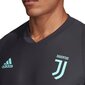 Sportiniai marškinėliai vyrams Adidas Juventus EU TR JSY 19/20 M DX9105 50565 kaina ir informacija | Sportinė apranga vyrams | pigu.lt