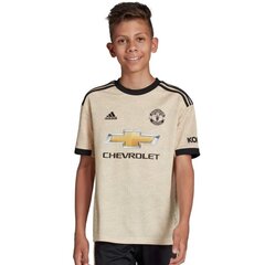 Футболка для мальчиков Adidas Manchester FC Away JSY Y Junior DX8945, коричневая цена и информация | Рубашки для мальчиков | pigu.lt