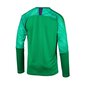 Džemperis Puma CUP GK LS M 703771-43, 50835 kaina ir informacija | Džemperiai vyrams | pigu.lt