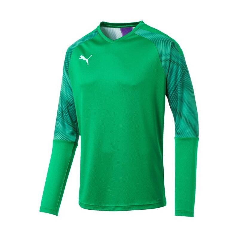 Džemperis Puma CUP GK LS M 703771-43, 50835 kaina ir informacija | Džemperiai vyrams | pigu.lt