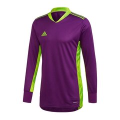 Джемпер вратаря Adidas AdiPro 20 GK M FI4194, фиолетовый цена и информация | Мужская спортивная одежда | pigu.lt