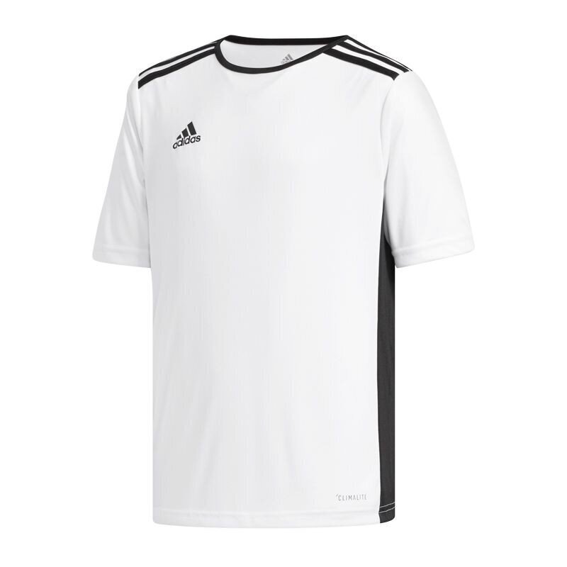 Marškinėliai berniukams Adidas Entrada 18 Jr CF1044, balti цена и информация | Marškinėliai berniukams | pigu.lt