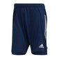 Šortai vyrams Adidas Condivo 20 Training Short M ED9212, mėlyni kaina ir informacija | Vyriški šortai | pigu.lt