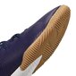 Futbolo bateliai Adidas Nemeziz Messi 19.3 IN Jr EF1815 51607 kaina ir informacija | Futbolo bateliai | pigu.lt