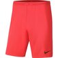 Šortai vyrams Nike Dry Park III NB KM BV6855 635, rožiniai цена и информация | Vyriški šortai | pigu.lt