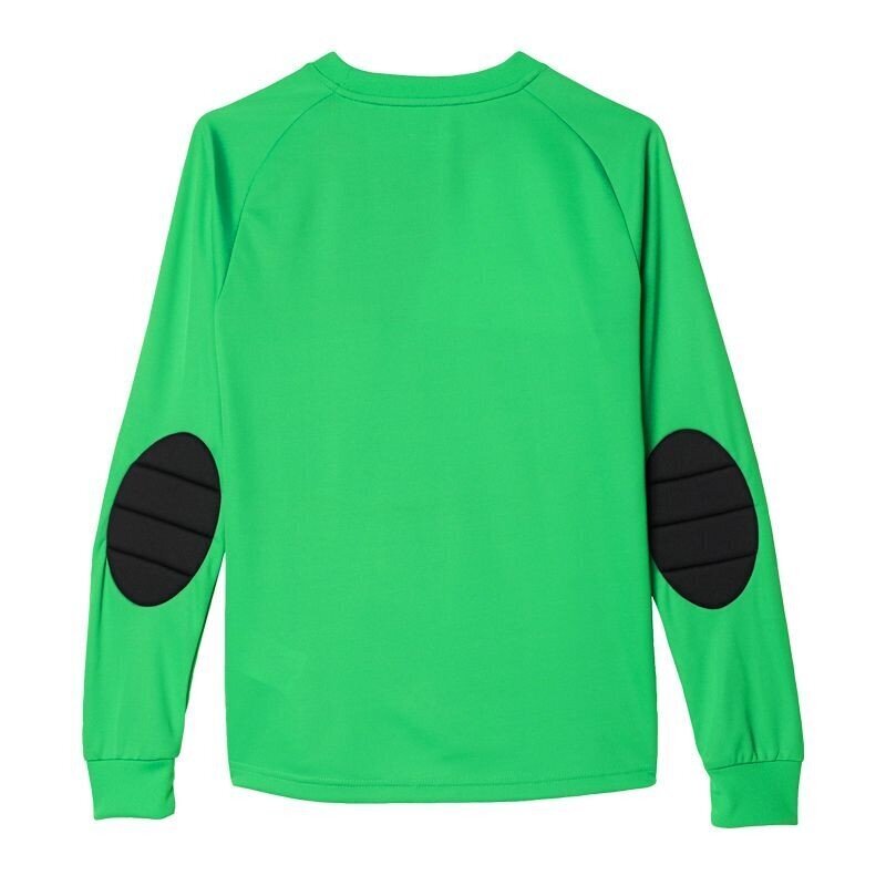 Džemperis berniukams Adidas Assita 17 Jr AZ5406, žalias kaina ir informacija | Megztiniai, bluzonai, švarkai berniukams | pigu.lt
