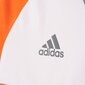 Džemperis Adidas Assita 17 Jr AZ5402, 51868 kaina ir informacija | Megztiniai, bluzonai, švarkai berniukams | pigu.lt