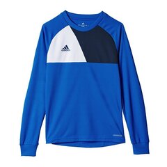 Свитер для мальчика Adidas Assita 17 Jr AZ5404, синий цена и информация | Свитеры, жилетки, пиджаки для мальчиков | pigu.lt