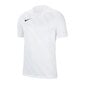 Sportiniai marškinėliai vyrams Nike Challenge III M BV6703-100, 51894 kaina ir informacija | Sportinė apranga vyrams | pigu.lt