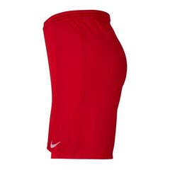 Спортивные шорты для мальчиков Nike Park III Knit Jr BV6865-657, 51965, красные цена и информация | Шорты для мальчиков | pigu.lt