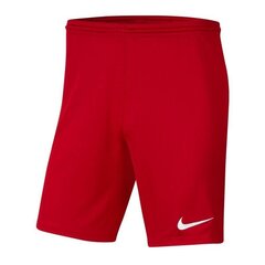 Спортивные шорты для мальчиков Nike Park III Knit Jr BV6865-657, 51965, красные цена и информация | Шорты для мальчиков Gulliver, серые милитари | pigu.lt