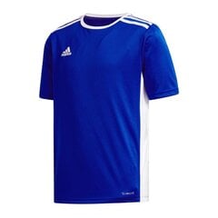 Спортивные футболки для мальчиков, adidas Entrada 18 Jr CF1049 цена и информация | Рубашки для мальчиков | pigu.lt