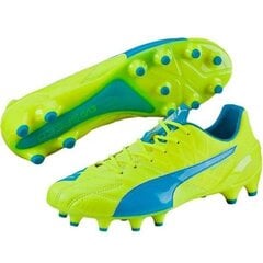 Футбольная обувь Puma Evo Speed 1.4 LTH FG M 103615 03 цена и информация | Puma Спортивные товары | pigu.lt