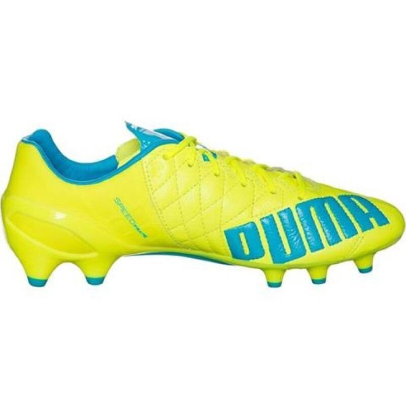 Futbolo bateliai Puma Evo Speed 1.4 LTH FG M 103615 03 kaina ir informacija | Futbolo bateliai | pigu.lt