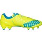 Futbolo bateliai Puma Evo Speed 1.4 LTH FG M 103615 03 kaina ir informacija | Futbolo bateliai | pigu.lt