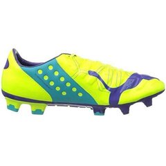 Футбольные бутсы Puma Evo Power 2 FG M 102945 04 цена и информация | Футбольные бутсы | pigu.lt