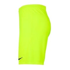 Спортивные шорты для мальчиков Nike Park III Knit Jr. BV6865-702, 52214, зеленые цена и информация | Шорты для мальчиков | pigu.lt