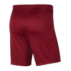 Спортивные шорты для мальчиков Nike Park III Knit Jr BV6865-677, 52298, красные цена и информация | Шорты для мальчиков | pigu.lt
