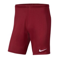 Спортивные шорты для мальчиков Nike Park III Knit Jr BV6865-677, 52298, красные цена и информация | Шорты для мальчиков | pigu.lt