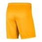 Šortai vyrams Nike Dry Park III M BV6855-739, geltoni kaina ir informacija | Vyriški šortai | pigu.lt