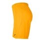 Šortai vyrams Nike Dry Park III M BV6855-739, geltoni kaina ir informacija | Vyriški šortai | pigu.lt