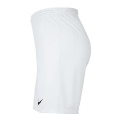 Спортивные шорты для мальчиков Nike Park III Knit Jr BV6865-100, 52320, белые цена и информация | Шорты для мальчиков | pigu.lt