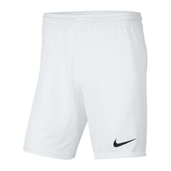 Sportiniai šortai berniukams Nike Park III Knit Jr BV6865-100, 52320, balti kaina ir informacija | Šortai berniukams | pigu.lt