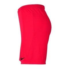 Sportiniai šortai berniukams Nike Park III Knit Jr BV6865-635, 52325, raudoni kaina ir informacija | Šortai berniukams | pigu.lt