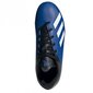 Futbolo bateliai Adidas X 19.4 FxG JR EF1615, mėlyni kaina ir informacija | Futbolo bateliai | pigu.lt