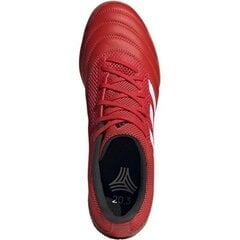 Futbolo bateliai vyrams Adidas Copa 20.3 IN SALA M G28548 52371 kaina ir informacija | Futbolo bateliai | pigu.lt