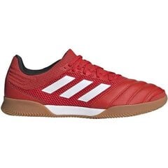 Futbolo bateliai vyrams Adidas Copa 20.3 IN SALA M G28548 52371 kaina ir informacija | Futbolo bateliai | pigu.lt