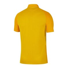 Спортивная футболка мужская Nike Trophy IV M BV6725-719, 52408 цена и информация | Мужская спортивная одежда | pigu.lt