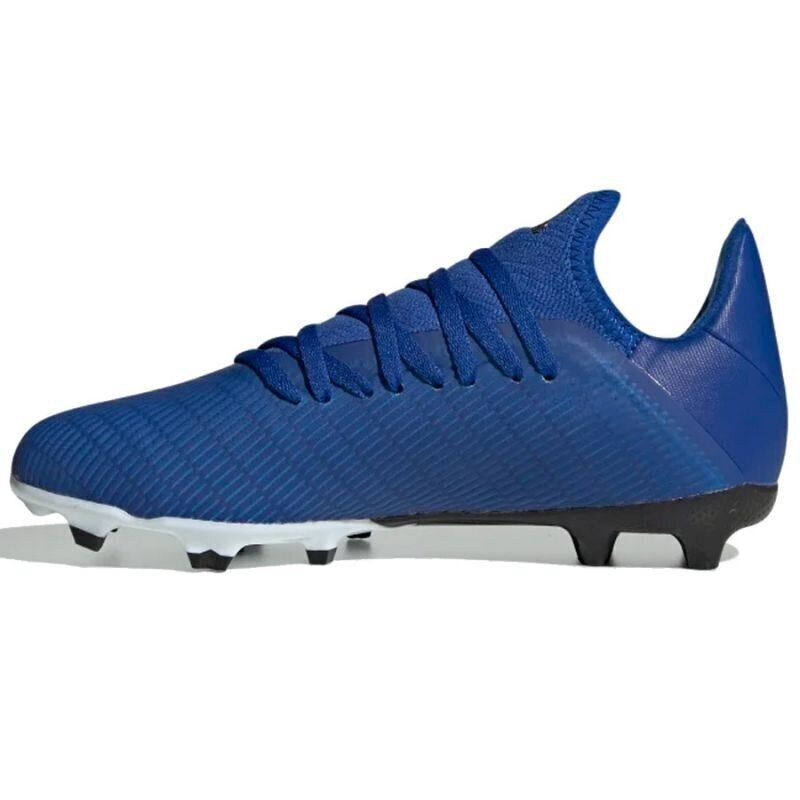 Futbolo bateliai Adidas X 19.3 FG J EG7152, mėlyni kaina ir informacija | Futbolo bateliai | pigu.lt