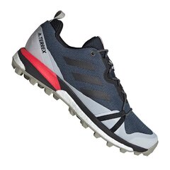 Adidas Terrex Skychaser LT GTX M EF2159 turistiniai batai (52461) kaina ir informacija | Kedai vyrams | pigu.lt