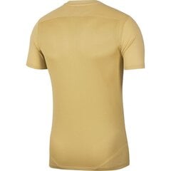 Спортивная футболка для мальчиков Nike Dry Park VII JSY SS JR BV6741-729, 52679 цена и информация | Рубашки для мальчиков | pigu.lt