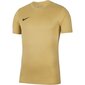 Sportiniai marškinėliai berniukams Nike Dry Park VII JSY SS JR BV6741-729, 52679 цена и информация | Marškinėliai berniukams | pigu.lt