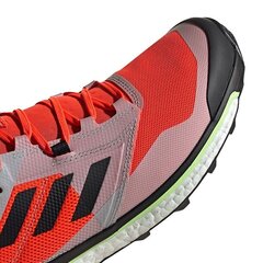 Походные ботинки мужские, Adidas Terrex Agravic XT M EF2109 оранжевые цена и информация | Мужские ботинки | pigu.lt