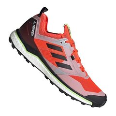 Походные ботинки мужские, Adidas Terrex Agravic XT M EF2109 оранжевые цена и информация | Мужские ботинки | pigu.lt