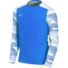Спортивная футболка для мальчиков Nike Dry Park IV JSY LS JR CJ6072-463, 52800 цена и информация | Рубашка для мальчиков | pigu.lt