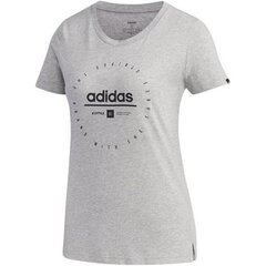 Sportiniai marškinėliai vyrams adidas Circular Graphic W FM6151 kaina ir informacija | Sportinė apranga vyrams | pigu.lt