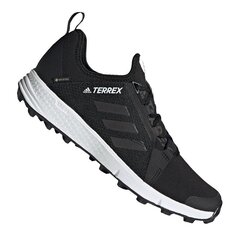 Turistiniai batai vyrams, Adidas Terrex Speed Gtx M EH2284 kaina ir informacija | Vyriški batai | pigu.lt